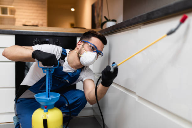 Best Mosquito Control Services  in Columbus, NE