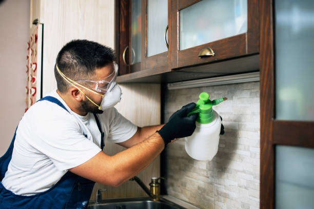 Best Mosquito Control Services  in Columbus, NE