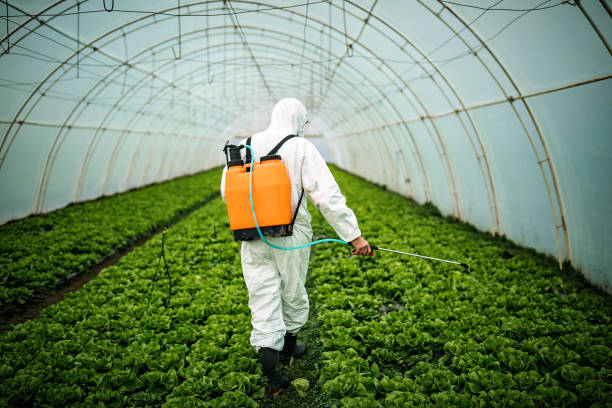 Best Local Pest Control Services  in Columbus, NE