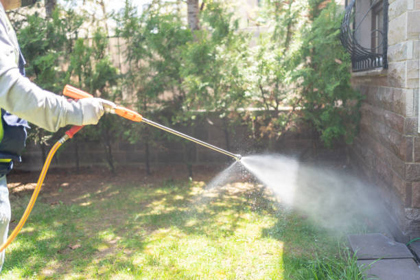 Best Insect Control  in Columbus, NE