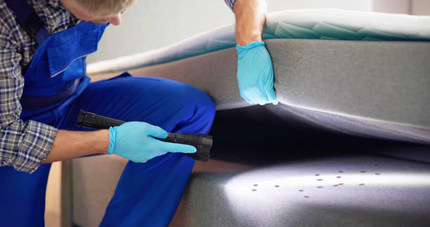 Best Pest Control Near Me  in Columbus, NE