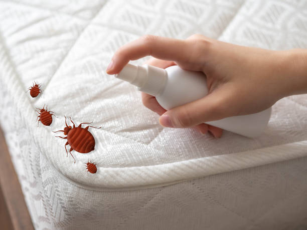 Columbus, NE Pest Control Company