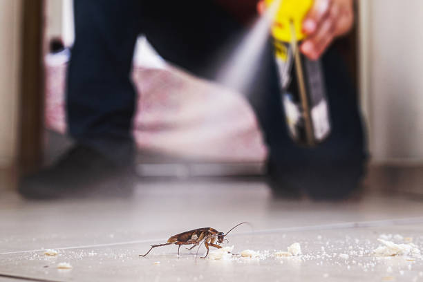 Best Pest Control Near Me in Columbus, NE