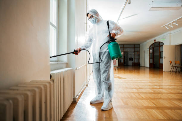Best Affordable Pest Control Services  in Columbus, NE